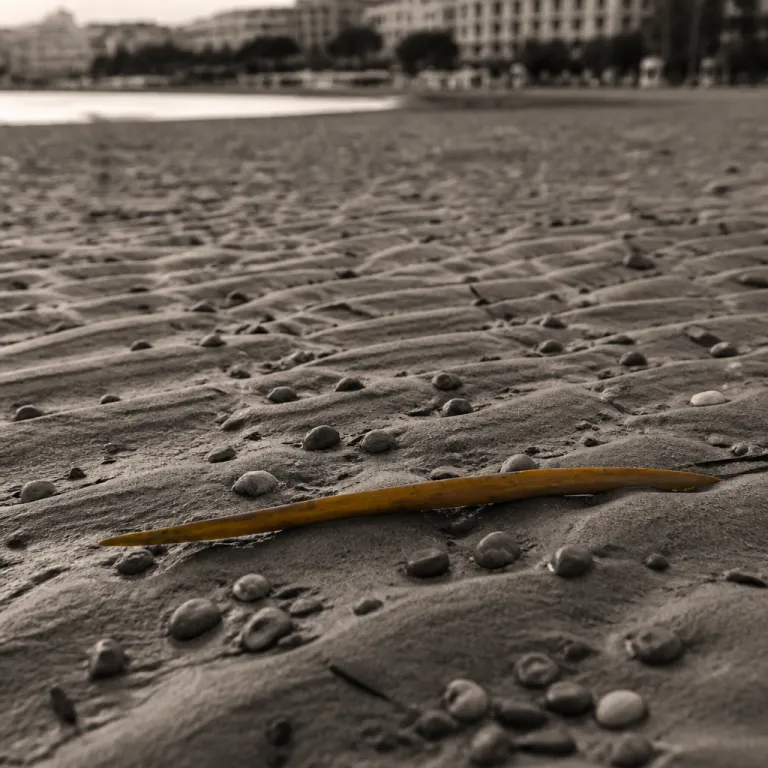 Cagliari in June: When the Posidonia Clears and the Real Summer Begins