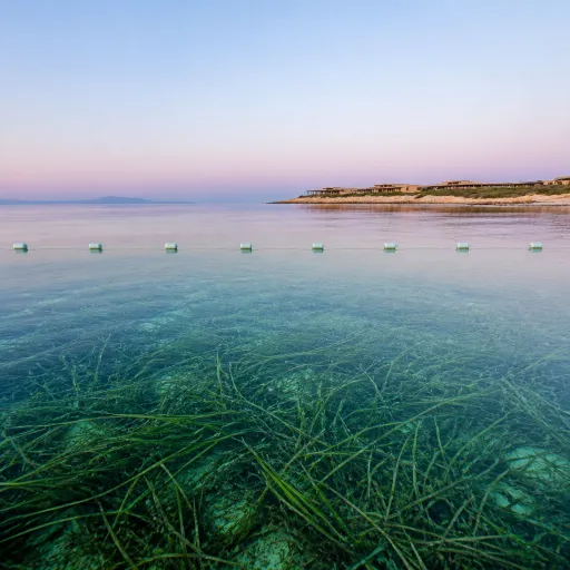 Sardinia's Posidonia Meadows: The Seagrass That Luxury Resorts Are Learning to Protect